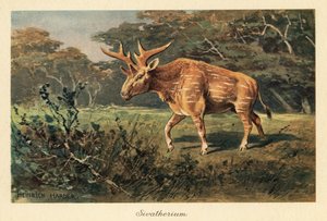 Sivatherium giganteum in einer Dschungellichtung
