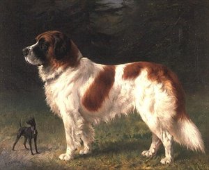 Ein Bernhardiner und ein Zwergpinscher