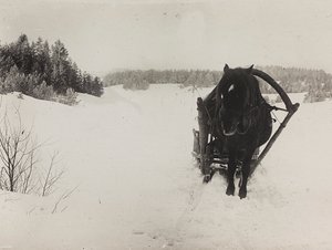 Erster Weltkrieg: die Ukraine in den Jahren 1914-1916 während der Invasion der deutschen Armee. Ein Pferdeschlitten im Schnee (s/w Foto)