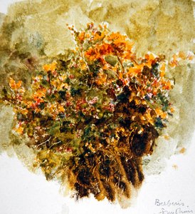 Berberis, Sonnenschein von Helen Allingham