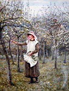 Blütezeit von Helen Allingham