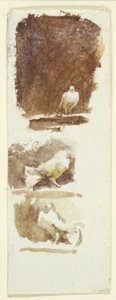 Tauben von Helen Allingham