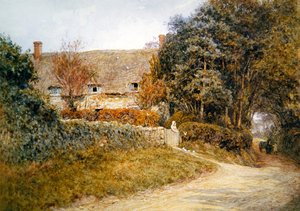 Tauben füttern