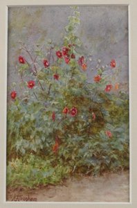 Blumenbeet, Stockrose und Dahlien