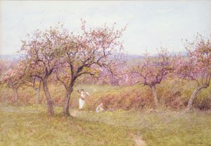 Frühling in Dorset