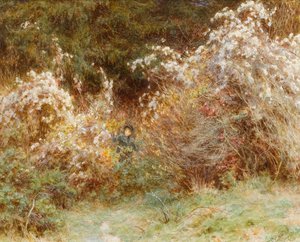 Reisefreude: Eine Hecke in Surrey von Helen Allingham