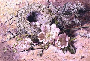 Blüte und Vogelnest von Helen Cordelia Coleman Angell