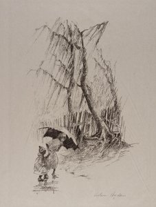 Der Schauer