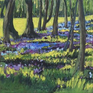 Blaublumenwald, 2008 von Helen White