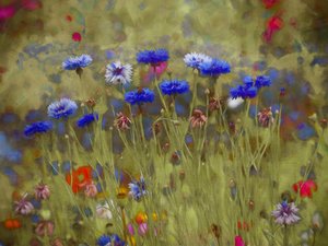 Kornblumenblau