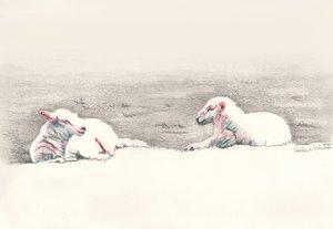 Nickerchen, 2016 von Helen White