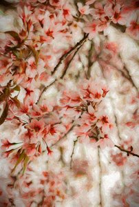 Orientalis von Helen White