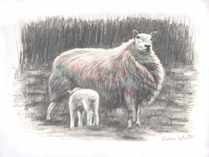 Stolz, 2016 von Helen White