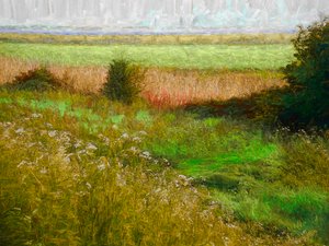 Sommerwiese, 2019 von Helen White