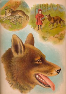 Der Wolf, um 1900