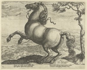 Pferd aus der Toskana
Pferderassen aus den königlichen Ställen von Don Juan von Österreich (Serientitel) von Hendrick Goltzius