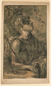 Heiliger Johannes der Evangelist in der Wildnis von Hendrik Goltzius