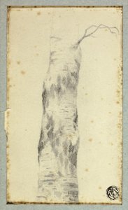 Skizze eines Baumstamms von Hendrik Pieter Koekkoek