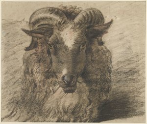 Kopf eines Widders von Hendrik Stokvisch