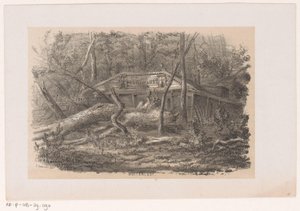 Umgestürzter Baum bei Buitenlust, nach dem Sturm vom 28. Mai 1860 Album von zehn lithographierten Skizzen, darstellend Szenen der Verwüstung, verursacht durch den Sturm vom 28. Mai 1860 im Haagse Bos