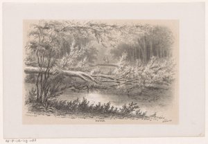 Umgestürzter Baum nach dem Sturm vom 28. Mai 1860 von Hendrik Wilhelmus Last