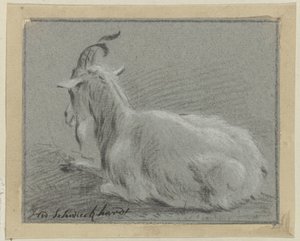 Liegende Ziege von Hendrik Willem Schweickhardt (signed by artist)