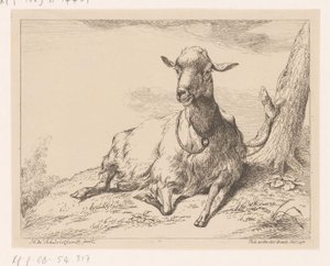Liegende Ziege, Verschiedene Tiere (Serientitel) von Hendrik Willem Schweickhardt