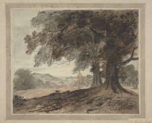 Im Knole Park