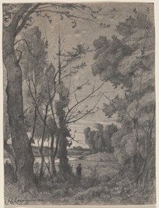 Waldlandschaft an einem Fluss