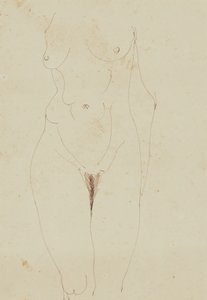 Weiblicher Akt-Torso