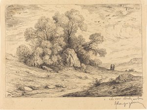 Baumgruppe mit Felsen