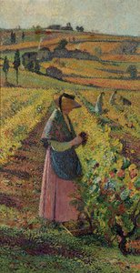 Die Ernte, ca. 1925