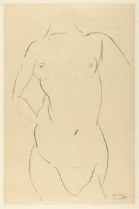 Torso