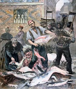 Der Fischmarkt, Paris, 1893