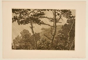 [Bäume im Regenschauer] von Henri Rivière