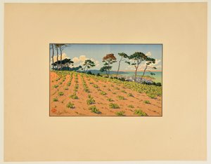 [Douarnenez von der Straße des Ris aus gesehen] von Henri Rivière