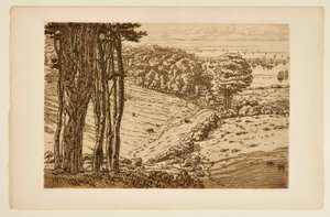 Der Hafen von Douarnenez von Henri Rivière