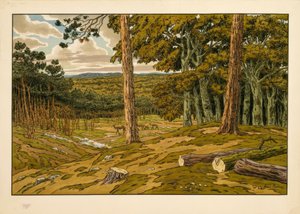 Der Wald
