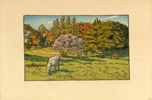 Petit bois au Béret (Douarnenez) von Henri Rivière
