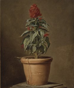 Eine Topfpflanze von Henri Roland de la Porte