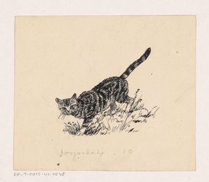 Katze