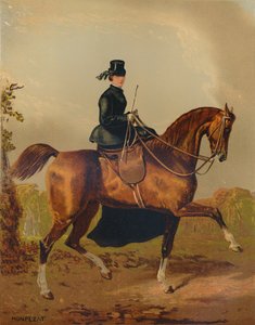 Ein Damenpferd - Das Eigentum des verstorbenen Earl of Pembroke, ca. 1840er Jahre von Henri d