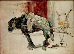 Pferd von Celeyran