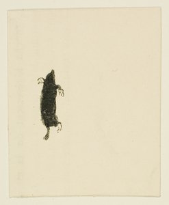 Vignette aus Au Pied du Sinaï von Henri de Toulouse Lautrec