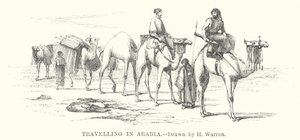 Reisen in Arabien
