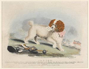 Sancho?, Schlacht von Salamanca, 1812