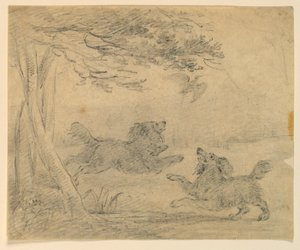 Studie von zwei Spaniels in einem Park
