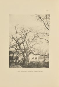 Die Groome-Weide, Dorchester