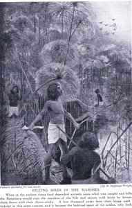Vogeljagd in den Sümpfen, ca. 1920 von Henry Charles Seppings Wright