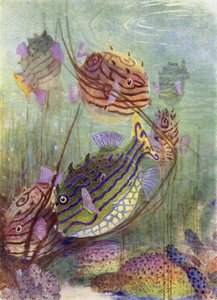 Der Kofferfisch der Korallenmeere von Henry Charles Seppings Wright